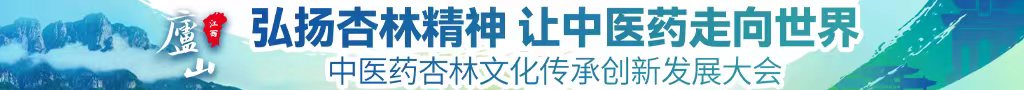 用鸡巴操逼中医药杏林文化传承创新发展大会